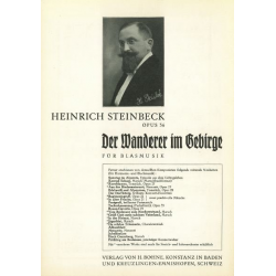 Der Wanderer im Gebirge -Heinrich Steinbeck