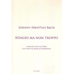 Adagio ma non troppo BWV1051 - Johann Sebastian Bach
