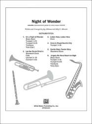 Night of Wonder - Sally  K. Albrecht