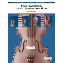 From Darkness Joyful Sounds Born (s/o) - Richard Meyer