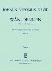 Wan-Denken Wk 64 - Johann Nepomuk David