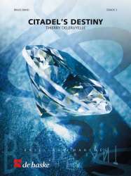 Citadel's Destiny -Thierry Deleruyelle