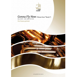 Gonna fly now/Bill Conti/arr. Geert De Vos - Pascual Marquina