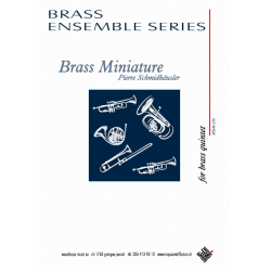 Brass Miniature - Pierre Schmidhäusler