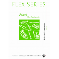 Polaris, flex instrumentation -Marc Jeanbourquin