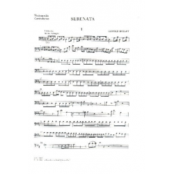 Serenade D-Dur - Leopold Mozart