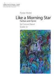 Like a Morning Star - Florian Moitzi