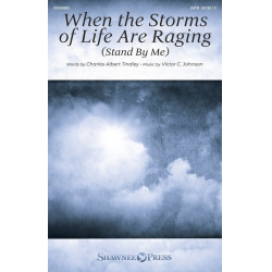 When the Storms of Life Are Raging - Victor C. Johnson
