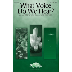 What Voice Do We Hear? - David Schwoebel