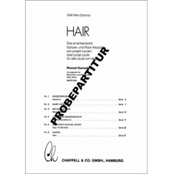 Hair : Musical-Querschnitt für - Galt MacDermot