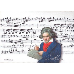 Brillenputztuch Beethoven 18 x 12,5 cm