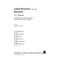 ANBETUNG AVE MARIA FUER GEM CHOR - Anton Bruckner