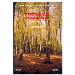 Toccata furiosa - Gottfried Jaufenthaler