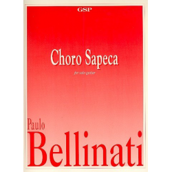 Choro sapeca for solo guitar - Paulo Bellinati