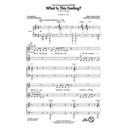What Is This Feeling? - Stephen Schwartz / Arr. Roger Emerson