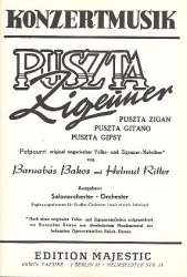 Puszta-Zigeuner: für Salonorchester - Barnabas Bakos
