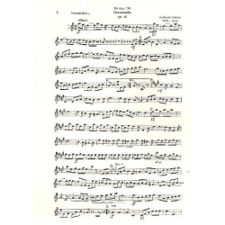 Tarantella op.18 - Raffaele Calace
