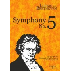 Sinfonie Nr. 5 -Ludwig van Beethoven / Arr.Christoph Günzel