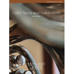 Celtic Song And Celebration - David W. Gorham