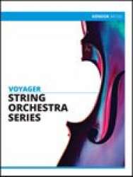 Vivaldi Mandolin Concerto, RV 425 (1st Movement) - Antonio Vivaldi / Arr. John Caponegro