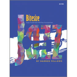 Bitesize Jazz - Darren Fellows
