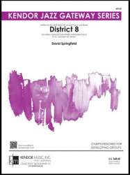 District 8 - David Springfield