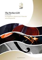 The Perfect Gift - Stef Minnebo