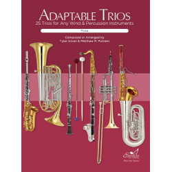 Adaptable Trios - Flute - Matthew R. Putnam Tyler Arcari