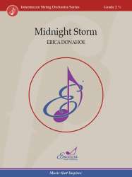 Midnight Storm - Erica Donahoe