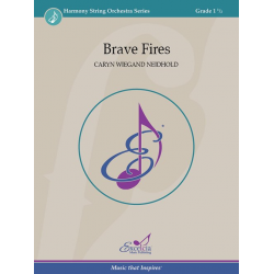 Brave Fires - Caryn Wiegand Neidhold