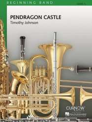 Pendragon Castle - Timothy Johnson