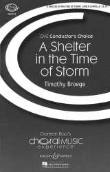 A Shelter in the Time of Storm - Timothy Broege