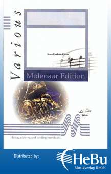 Promo Kat + CD: Molenaar - Solo and Band