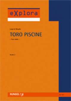 Toro Piscine