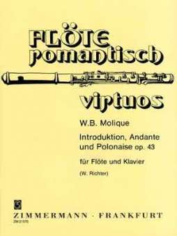 Introduction, Andante und Polonaise