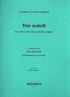 Trio a-Moll : für 2 Flöten und Klavier