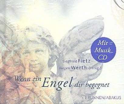 Wenn ein Engel dir begegnet (+CD)