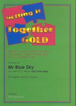 Mr Blue Sky: