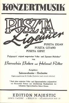 Puszta-Zigeuner: für Salonorchester