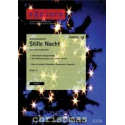 Stille Nacht - Alfred Bösendorfer