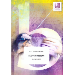 Slow Motion - Stef Minnebo