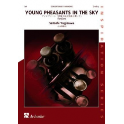 Young Pheasants in the Sky - Satoshi Yagisawa