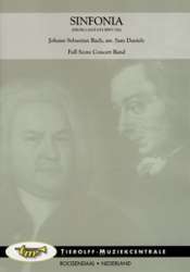 Sinfonia (aus der Kantate BWV 156) - Johann Sebastian Bach / Arr. Sam Daniels
