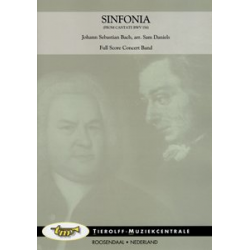 Sinfonia (aus der Kantate BWV 156) - Johann Sebastian Bach / Arr. Sam Daniels