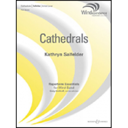 Cathedrals - Kathryn Salfelder