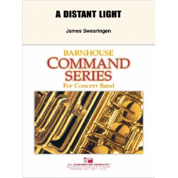 A Distant Light - James Swearingen