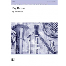 Big Raven - Vince Gassi