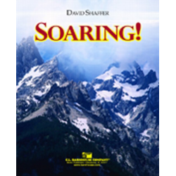 Soaring - David Shaffer