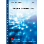 Karma Chameleon - Peter Kleine Schaars