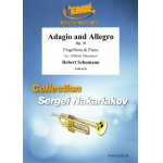Adagio and Allegro - Robert Schumann / Arr. Mikhail Nakariakov